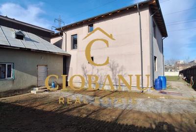 Casa de vanzare zona Damila-Capsunarie - 4