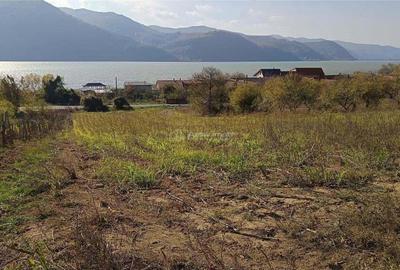 Teren de 3000 mp, în Berzasca - 3