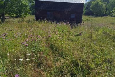Casă cu 3 camere în Vadu Oii - 3