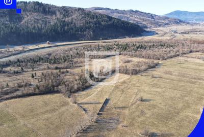 Teren Construcții extravilan de 2250 mp, în Voroneț - 3