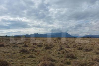 Teren de 10000 mp, în Central