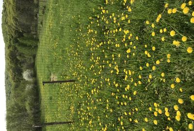 Casa de vacanta- Ozun, 30 km de Brasov - 6