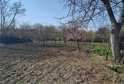 Casă cu 5 camere cu Teren 1300 Mp în Vieru - 7