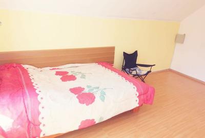 Cabana excelenta in sat Salard com Lunca Bradului jud Mures - 6