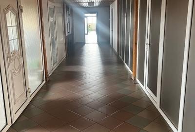 Clădire birouri & depozitare de vânzare – Zona Bucovina, Timișoara Clădire birouri & depozitare de vânzare – Zona Bucovina, Timișoara - 7