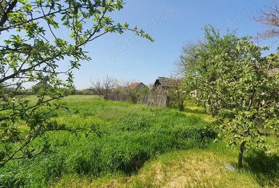 Casa de vanzare Casa de vanzare - 5