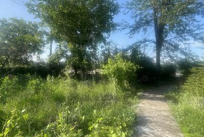 Casă în Podu Doamnei - 4