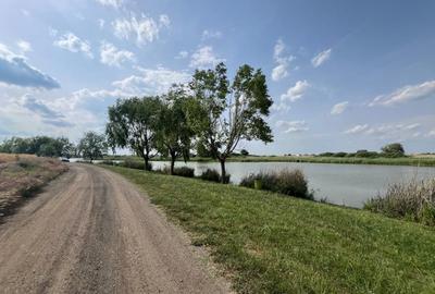 Teren Berceni La Lacuri | Oportunitate Investitie | - 5