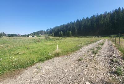 Teren Construcții intravilan de 5000 mp, în Nord - 5