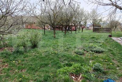 Casă cu 5 camere cu Teren 3000 Mp în Tureni - 3