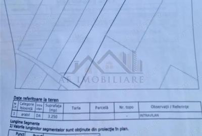Teren de 3250 mp, în Tomești