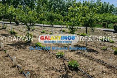 Teren Construcții intravilan de 1672 mp, în Gorgota - 4