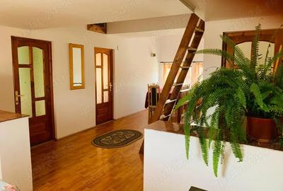 Casă cu 6 camere cu Teren 850 Mp în Vatra Dornei - 4