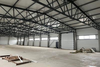 Spatiu depozitare si productie Chitila - 7