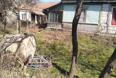 Casă cu 2 camere cu Teren 1440 Mp în Exterior Vest - 5