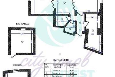 Grădina Icoanei - vilă cu potențial multiplu - 4