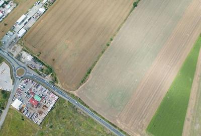 Teren extravilan 12.000 mp DN79 Arad-Oradea - 3