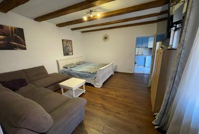 Apartament cu 2 camere semidecomandat, mobilat în Centrul Istoric - 3