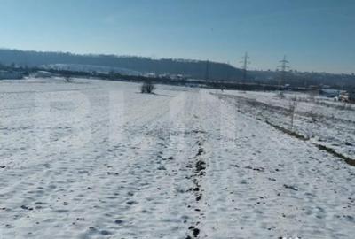 Teren de 6323 mp, în Burdujeni - 3