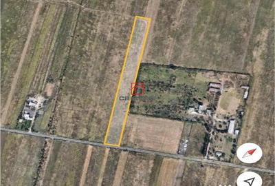 Teren de 4475 mp, în Măgurele - 5