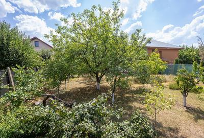 Balotești, 5 Camere, 200 mp utili, 1250 mp, într-o locație rară - 34