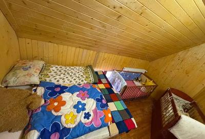 Vila de vanatoare in Santimbru-Bai - 4