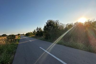 Teren 6700 mp Olteni, jud. Dambovita – la doar 900 m de Autostrada A1 (km 63) - 3