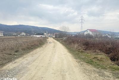 Teren de 3000 mp, în Aninoasa - 2