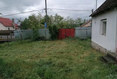 Casă cu 2 camere în Aleșd - 1