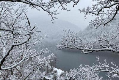 Teren de 1000 mp, în Tarnița - 5