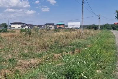 Teren intravilan de 1000 mp, în Brănești - 2