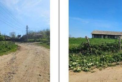 Teren Bradesti, ID: R2805453 - 6