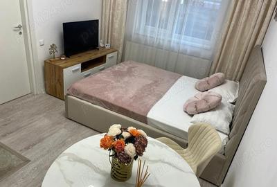 Garsonieră nedecomandată în Roșu - 2