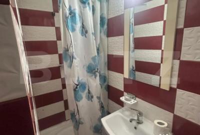 Garsonieră decomandată, mobilată în Centură - 4