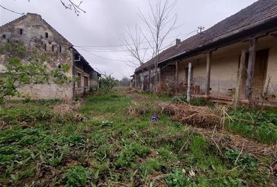 Casă individuală cu 4 camere cu Teren 1798 Mp în Iecea Mare - 9