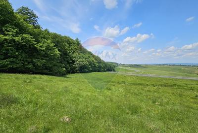 Teren agricol extravilan de 7000 mp, în Ilișești - 18