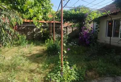 Casă cu 6 camere cu Teren 3000 Mp în Balinț - 5