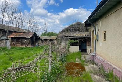 Casă cu 3 camere în Boldești - 7