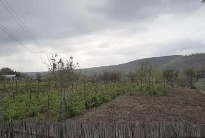 Teren de 1000 mp, în Ijdileni - 2