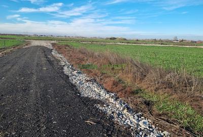 Loturi rezidentiale cu utilitati DN4, langa Popesti-Leordeni! - 7
