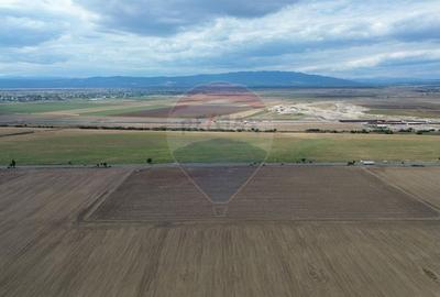 Teren Tisita/ DN2 E85 2.75 ha - 4