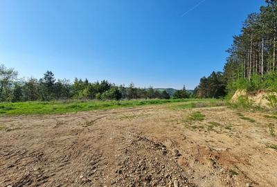 Teren intravilan de vanzar,  zona Sf Ion- Faget - 5