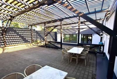 POPAS TURISTIC BERTHELOT OPORTUNITATE RARA PE E85 - 2