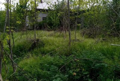 Casă cu 3 camere cu Teren 1000 Mp în Ulmu - 4