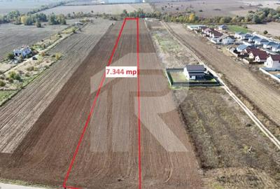 Teren de 7344 mp, în Joița - 6