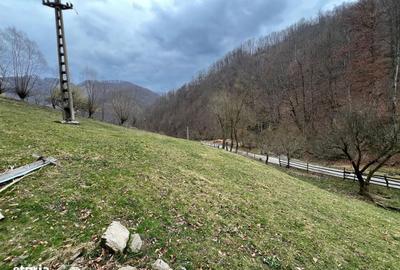 Spațiu comercial, în Remeți - 2