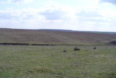 Teren investiție, de 110,000 mp, în Pielești - 2