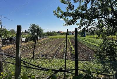 Casă cu 4 camere în Biharia - 1