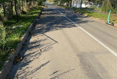 Teren de 10198 mp, în Bujac - 1