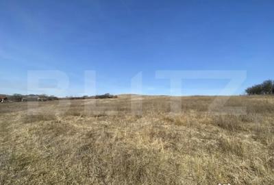 Teren de 140551 mp, în Recea - 11